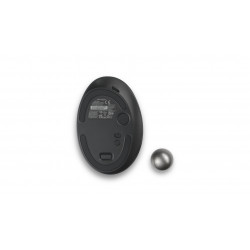 Kensington Pro Fit Ergo TB550 souris Bureau Droitier RF sans fil + Bluetooth Trackball 1600 DPI
