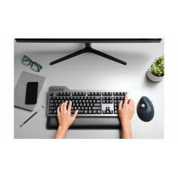 Kensington Pro Fit Ergo TB550 souris Bureau Droitier RF sans fil + Bluetooth Trackball 1600 DPI