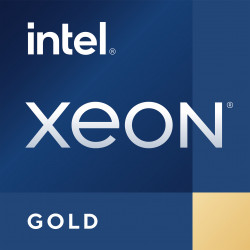 DELL Intel Xeon Gold 5416S...