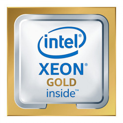 DELL Xeon Gold 5217...