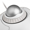 Kensington Trackball Orbit® avec molette — Blanc