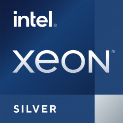 DELL Intel Xeon Silver...