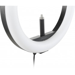 Kensington L1000 Ring Light bicolore avec fixation pour webcam