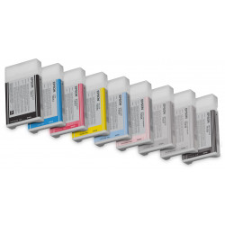 Epson Encre Pigment Gris SP...