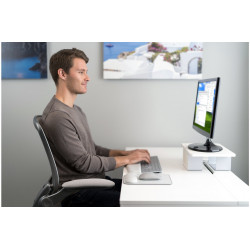 Kensington Tapis souris avec repose-poignets ErgoSoft™ pour souris standard