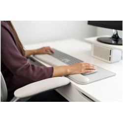 Kensington Tapis souris avec repose-poignets ErgoSoft™ pour souris standard