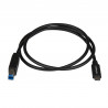 StarTech.com Câble USB-B vers USB-C de 1m, USB 10Gbps, Cordon de Données, USB 3.2 Gen 2, Câble de Transfert de Données USB-