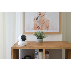 EZVIZ C6N Dôme Caméra de sécurité IP Intérieure 1920 x 1080 pixels Plafond