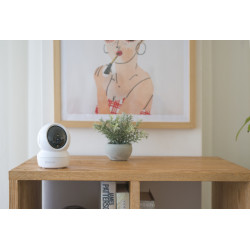 EZVIZ C6N Dôme Caméra de sécurité IP Intérieure 1920 x 1080 pixels Plafond