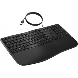 HP 485 CFT WD KBD FR