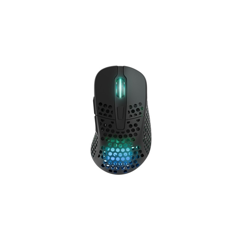 CHERRY XTRFY M4 RGB souris Gaming Droitier RF Wireless + USB Type-C Optique 19000 DPI