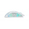 CHERRY XTRFY M4 RGB souris Gaming Droitier RF Wireless + USB Type-C Optique 19000 DPI