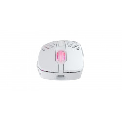 CHERRY XTRFY M4 RGB souris Gaming Droitier RF Wireless + USB Type-C Optique 19000 DPI