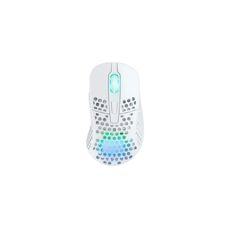CHERRY XTRFY M4 RGB souris Gaming Droitier RF Wireless + USB Type-C Optique 19000 DPI