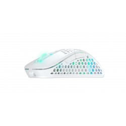 CHERRY XTRFY M4 RGB souris Gaming Droitier RF Wireless + USB Type-C Optique 19000 DPI
