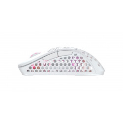 CHERRY XTRFY M4 RGB souris Gaming Droitier RF Wireless + USB Type-C Optique 19000 DPI