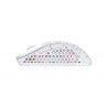 CHERRY XTRFY M4 RGB souris Gaming Droitier RF Wireless + USB Type-C Optique 19000 DPI