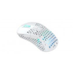 CHERRY XTRFY M4 RGB souris Gaming Droitier RF Wireless + USB Type-C Optique 19000 DPI