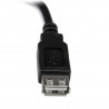 StarTech.com Câble d'extension USB 2.0 de 15cm - Rallonge USB A vers A - M/F