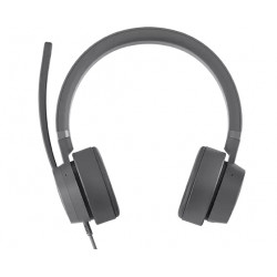 Lenovo GXD1C99243 écouteur/casque Avec fil Arceau Appels/Musique USB Type-C Gris