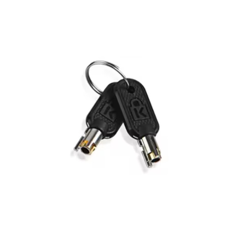 Lenovo 4Z10P40249 accessoire de câble de verrouillage Clé Gris