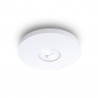 AX5400 Ceiling Mount Dual-Band Wi-Fi