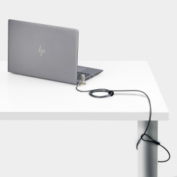 StarTech.com Lot de 25 Antivols Universels de 2m pour Ordinateur Portable, Câble de Sécurité Sérialisé pour Ordinateur Por