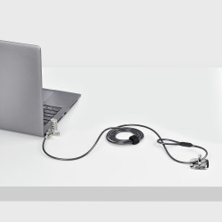 StarTech.com Lot de 25 Antivols Universels de 2m pour Ordinateur Portable, Câble de Sécurité Sérialisé pour Ordinateur Por