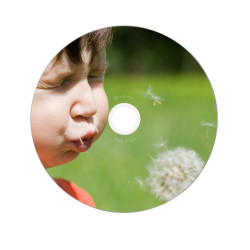 Verbatim 43521 DVD vierge 4,7 Go DVD-R 10 pièce(s)