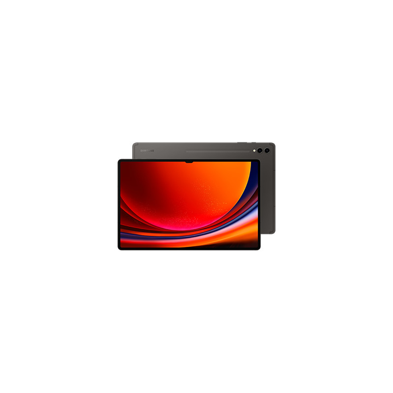 Samsung Galaxy Tab S9 Ultra SM-X916B 5G Qualcomm Snapdragon LTE-TDD & LTE-FDD 256 Go 37,1 cm (14.6") 12 Go Wi-Fi 6 (802.11ax) A