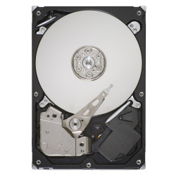 Lenovo 1000GB 3.5" SATA II...