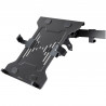 StarTech.com Support pour Ordinateur Portable VESA - Plaque Adaptateur VESA avec Orifices de montage 75x75/100x100 - Support Or