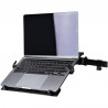 StarTech.com Support pour Ordinateur Portable VESA - Plaque Adaptateur VESA avec Orifices de montage 75x75/100x100 - Support Or