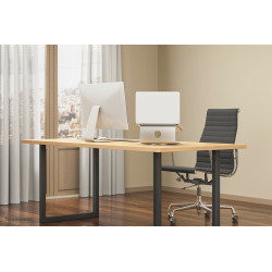 Neomounts NSLS050 Support pour ordinateur portable 10-17" - rotatif - universel