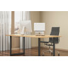 Neomounts NSLS050 Support pour ordinateur portable 10-17" - rotatif - universel