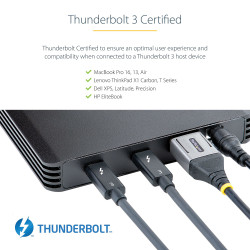 StarTech.com Boîtier SSD M.2 NVMe Thunderbolt 3 à 4 Baies - Boîtier Disque Dur Externe 1 DisplayPort vidéo et 2 Ports TB3 D