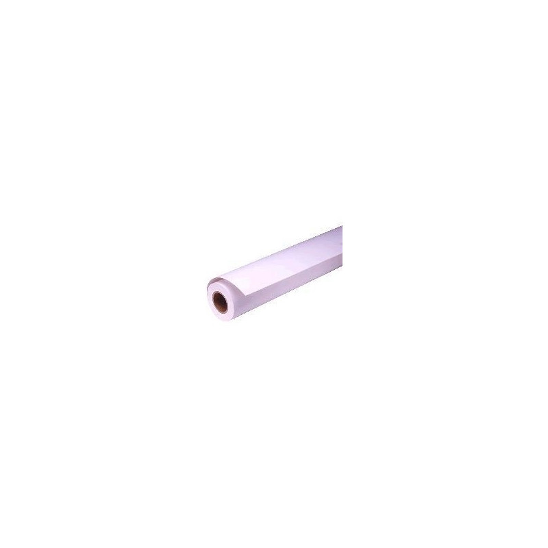 Epson Pap Proofing Blanc Semi-Mat 256g 44" (1,118x30,5m)