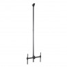StarTech.com Support TV au Plafond - Support Universel pour Écran Unique avec Mât Télescopique Réglable - Inclinable/Pivota