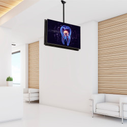 StarTech.com Support Double TV au Plafond - Support Double Écran à Suspendre Dos à Dos avec Mât Télescopique Réglable - I