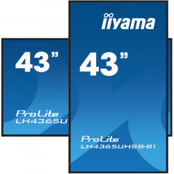 iiyama LH4365UHSB-B1 Écran d'affichage dynamique En forme de kiosk 108 cm (42.5") LED Wifi 800 cd/m² 4K Ultra HD Noir Intégr