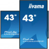 iiyama LH4365UHSB-B1 Écran d'affichage dynamique En forme de kiosk 108 cm (42.5") LED Wifi 800 cd/m² 4K Ultra HD Noir Intégr