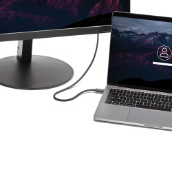 StarTech.com Câble Thunderbolt 3 (40 Gb/s) USB-C de 50 cm - Compatible Thunderbolt, USB et DisplayPort - M/M