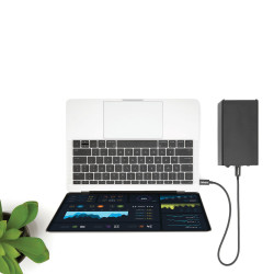StarTech.com Câble Thunderbolt 3 (40 Gb/s) USB-C de 50 cm - Compatible Thunderbolt, USB et DisplayPort - M/M