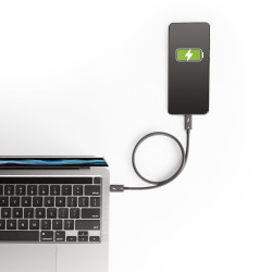 StarTech.com Câble Thunderbolt 4 de 50cm - 40Gbps - 100W Power Delivery - Vidéo 4K/8K - Cordon Thunderbolt Certifié par Inte